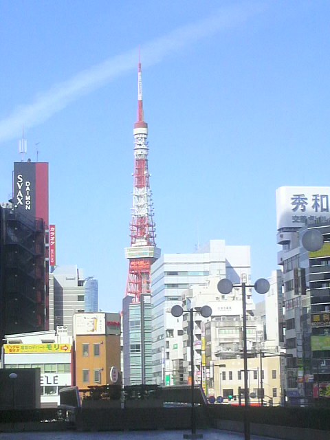 P1001336