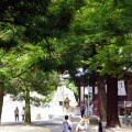 八栗寺さん到着