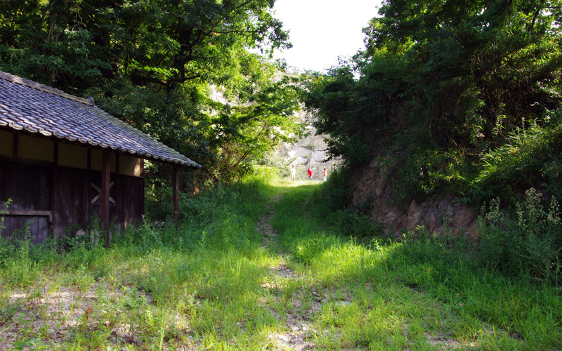 小さいですが、こっちに向かって手を振ってくれている小野まりえさん