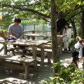 この場所でどんな映像が生まれるのでしょうか