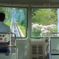 山を登っていくケーブルカー