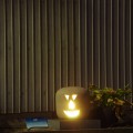 ハロウィンみたいでかわいらしい。