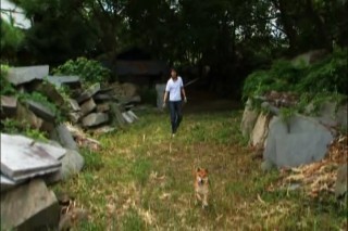 犬と散歩中