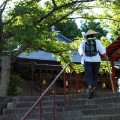 本堂、そして太子堂へ。