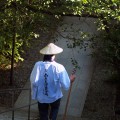 初日は8番札所まで、でした。