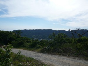 155421_itou_P1020283